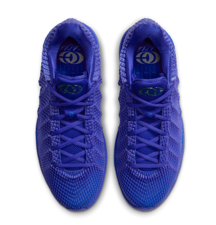 Nike Blue-Purple Low-Top Sneakers
