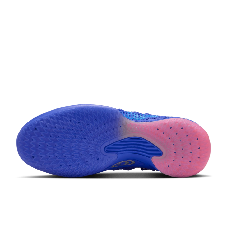 Nike Blue-Purple Low-Top Sneakers