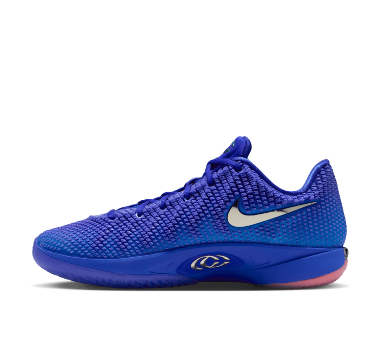 Nike Blue-Purple Low-Top Sneakers